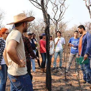 Area quaimada - Professores e Estudantes