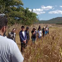 Explicando sobre a segunda safra e como ocoore a lógica do uso da terra na região estudada.